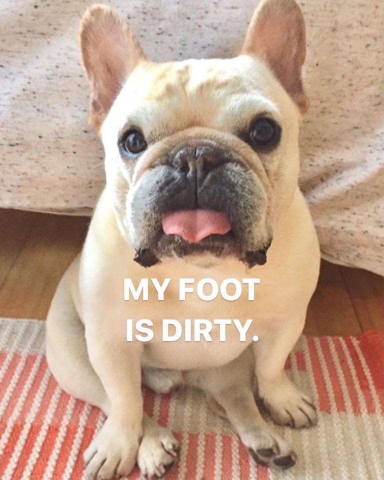 Waltergoodboy